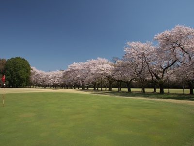小山ゴルフクラブでスループレーを体感！！